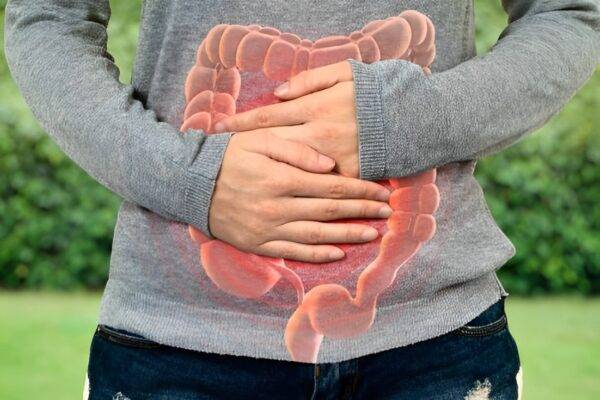 wellhealthorganic.com simple ways to improve digestive system in hindi