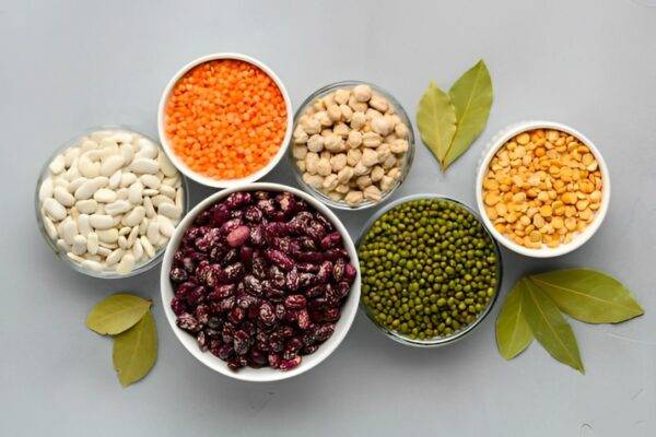 wellhealthorganic.com:vegetarian protein sources