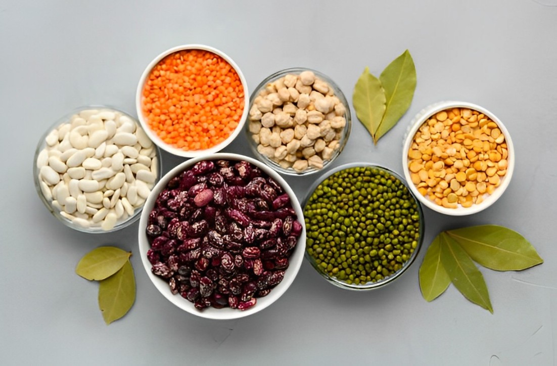 wellhealthorganic.com:vegetarian protein sources